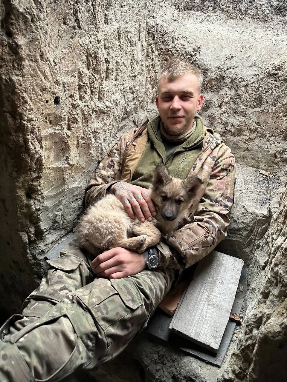 Фотография Кривашов Данила Иванович, погибший солдат СВО